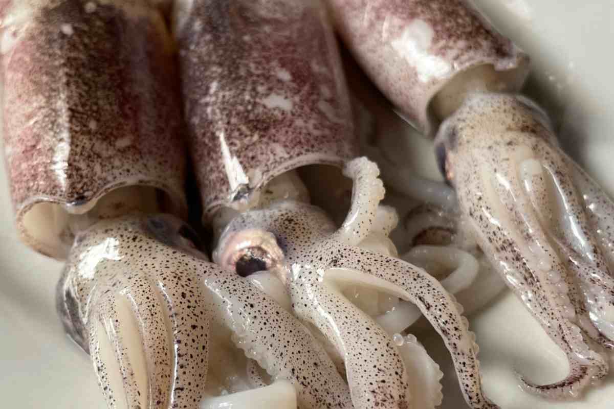 risotto al nero di seppia
